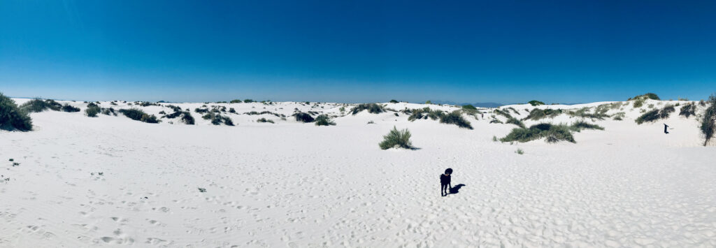 White Sands National Park Panorama