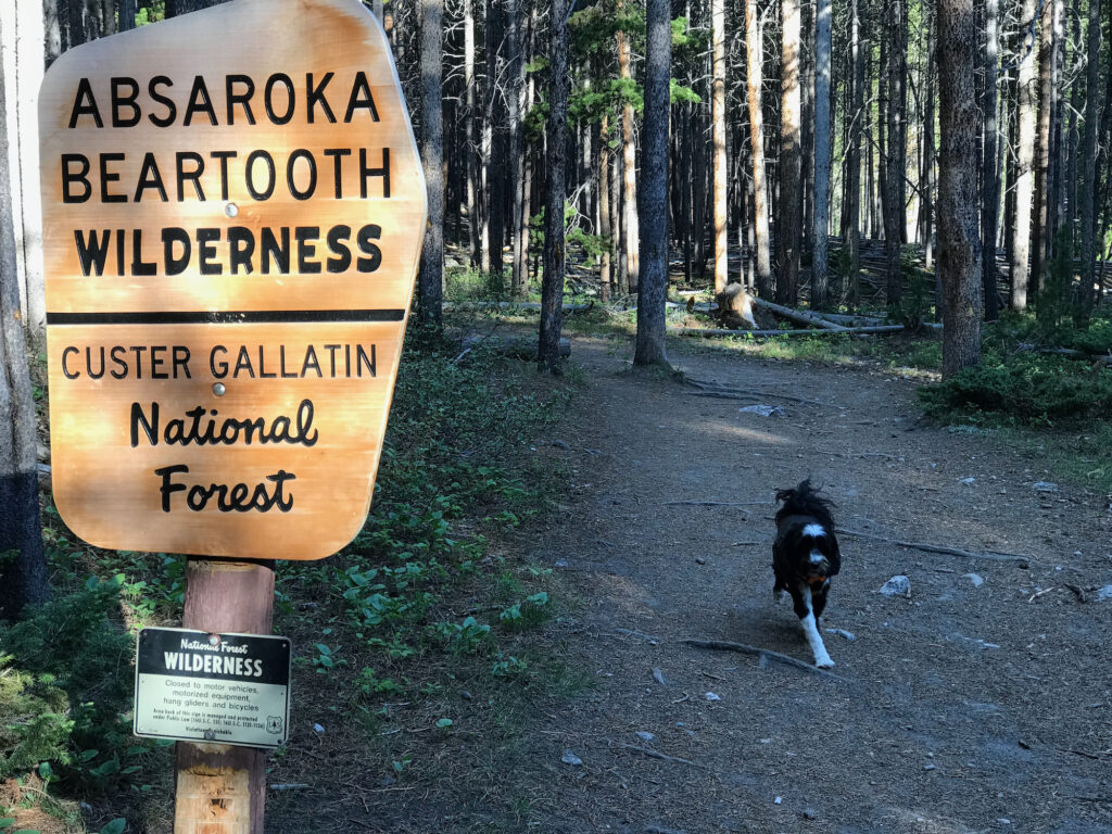 Absaroka Beartooth Wilderness