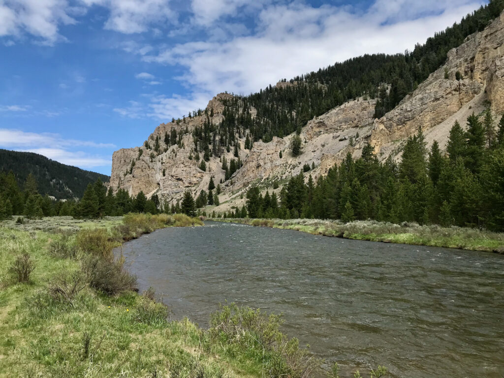 Custer Gallatin National Forest