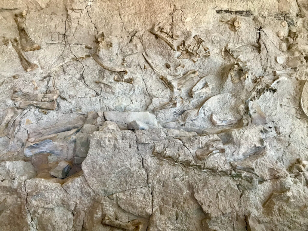 A Glimpse Back In Time