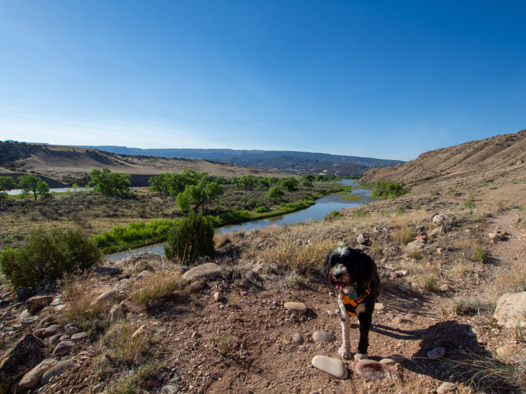River Trail at Dinosaur National Monument