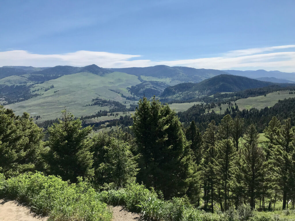Northern drive in Yellowstone National Park