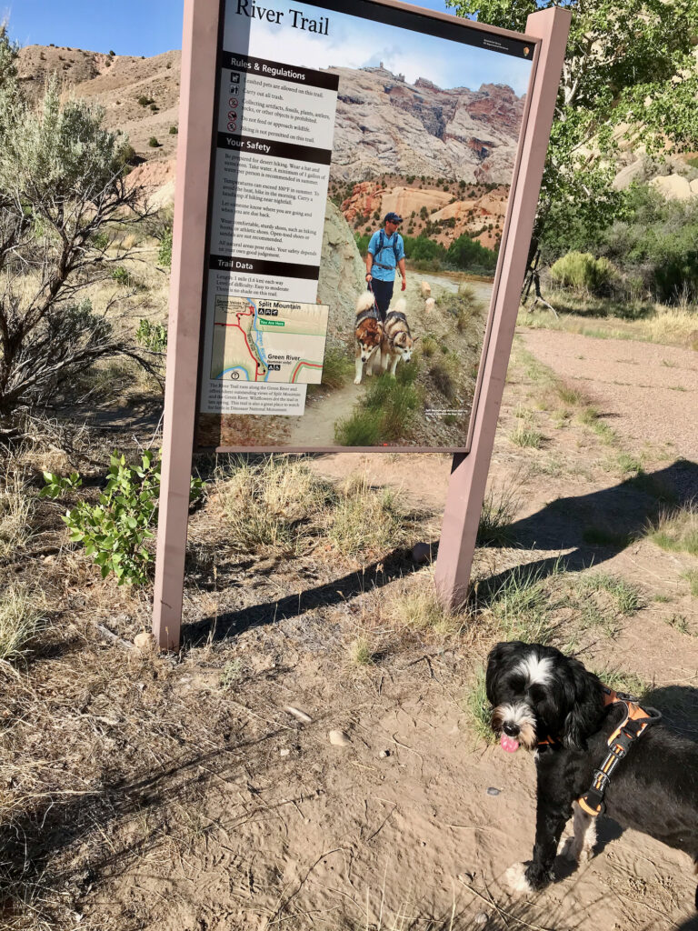 Start of River Trail at ⁨Dinosaur National Monument⁩
