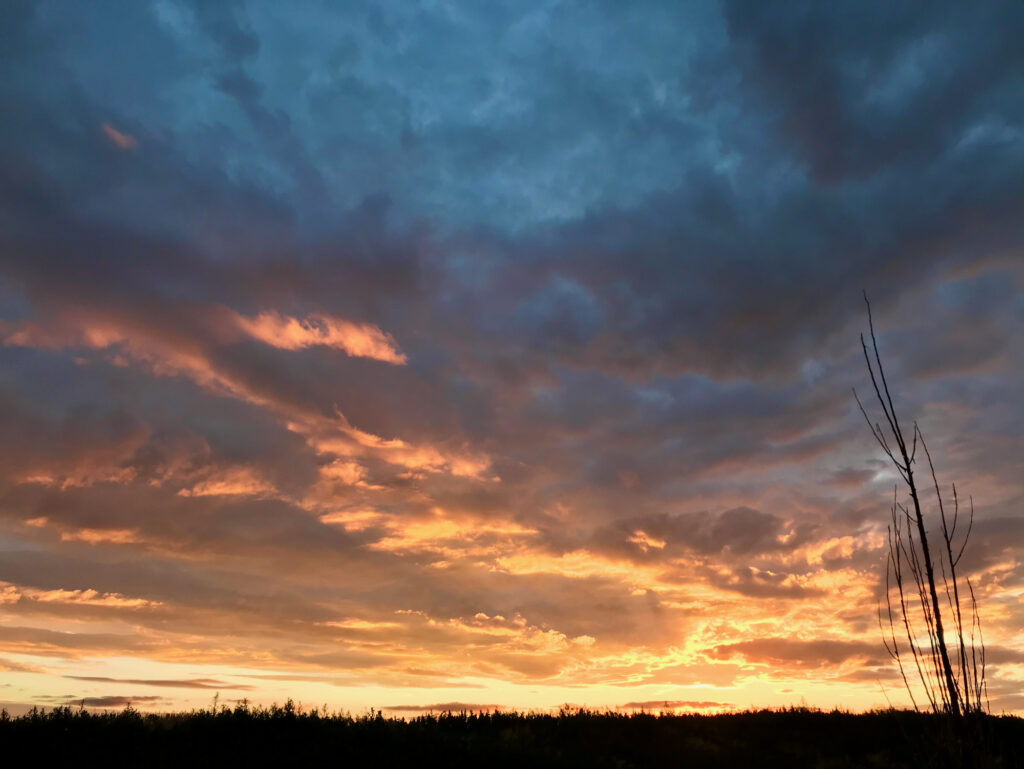Sunrise on our walk along the Cache la Poudre River