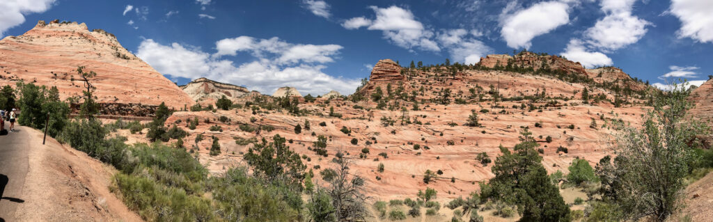 Zion Panorama