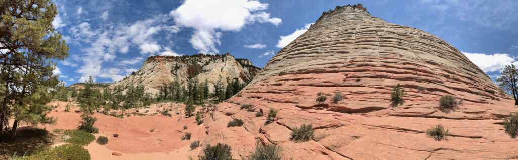 Zion Panorama
