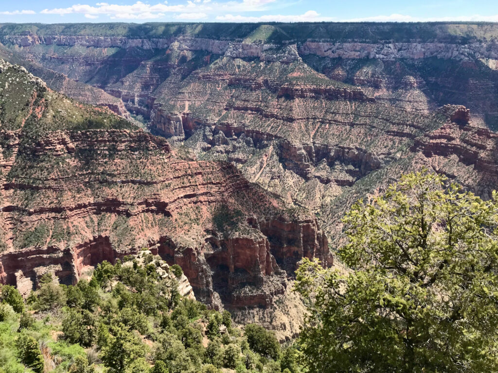 ⁨Bright Angel Point⁩ - North Rim - Grand Canyon National Park