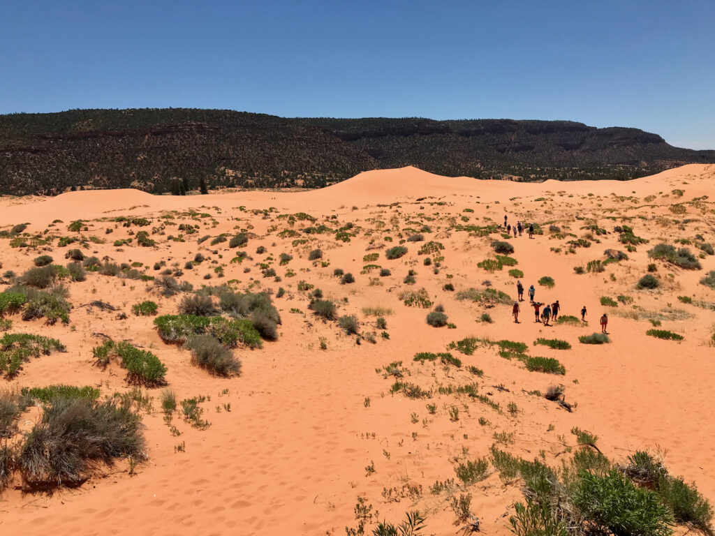 ⁨Coral Pink Sand Dunes State Park⁩