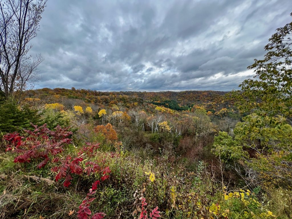 Fall color on Grand Dad's Bluff