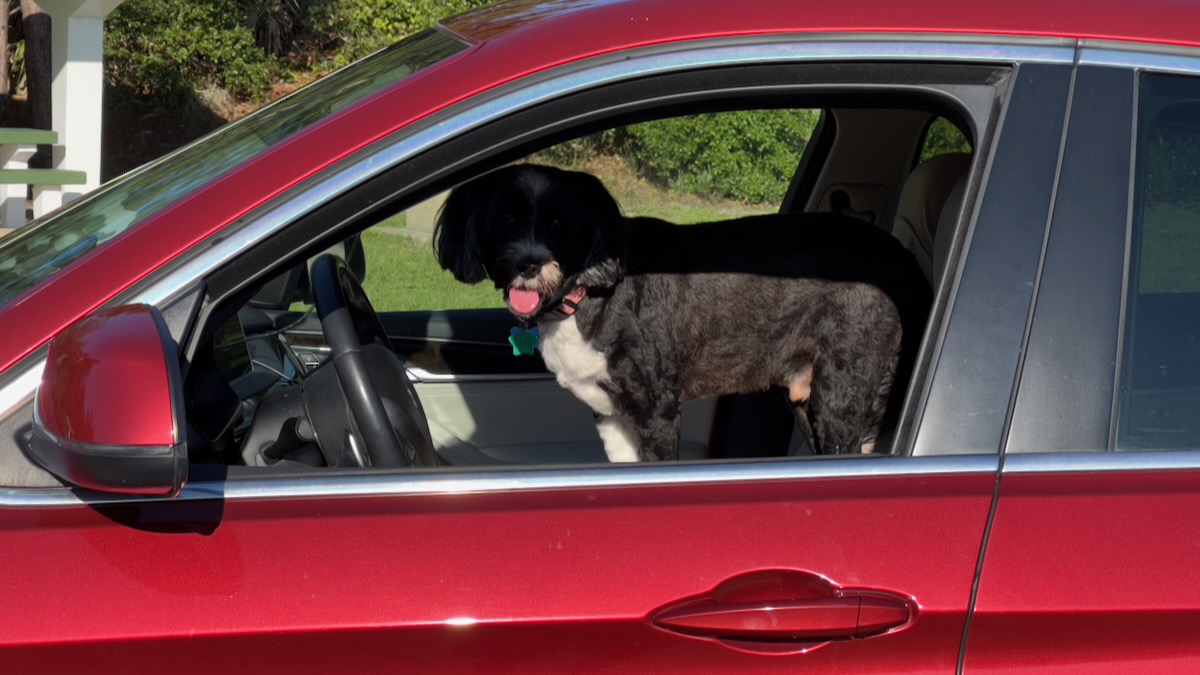 North through the South