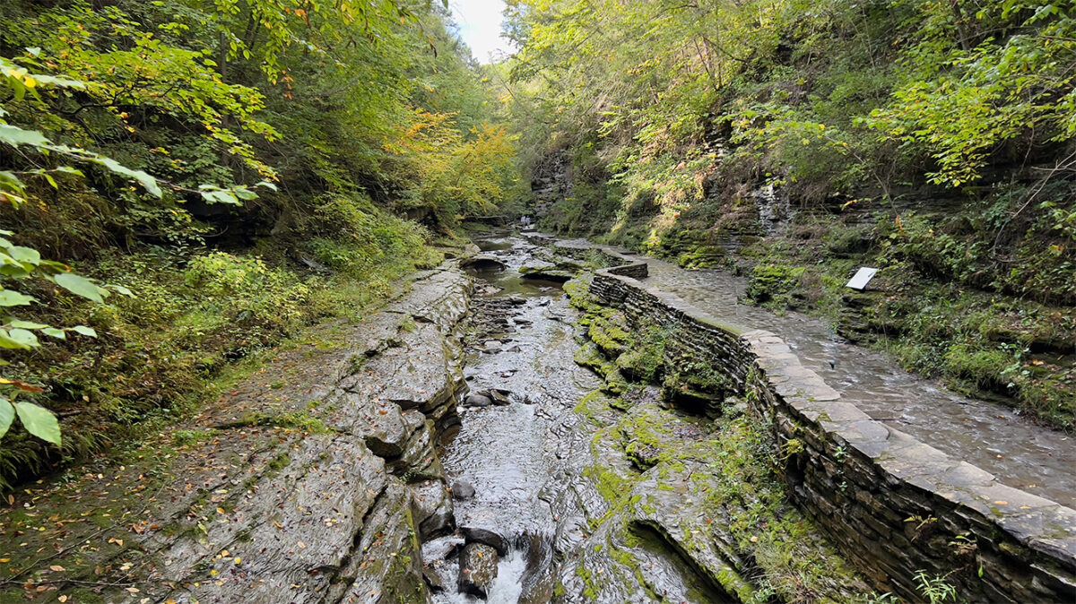 Watkins Glen