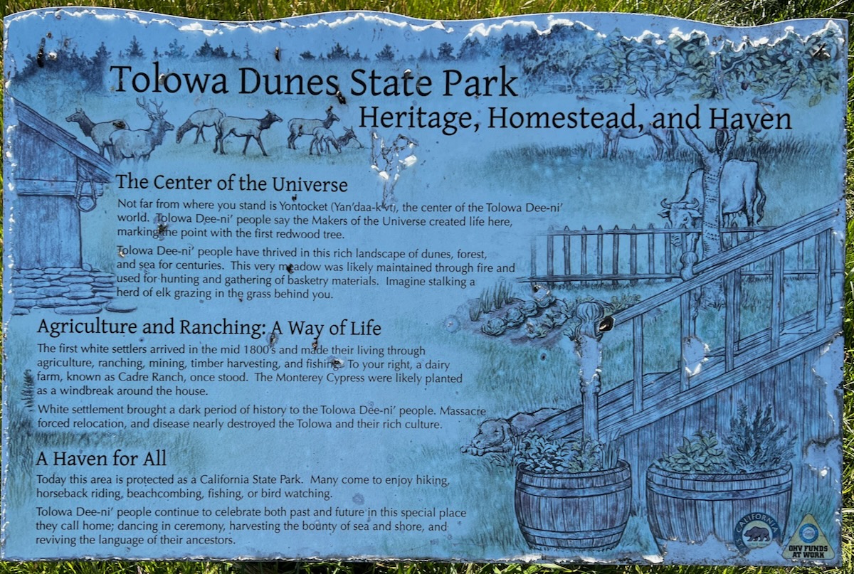 Center of the Universe