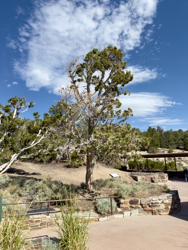 Lehman Caves at Great Basin National Park