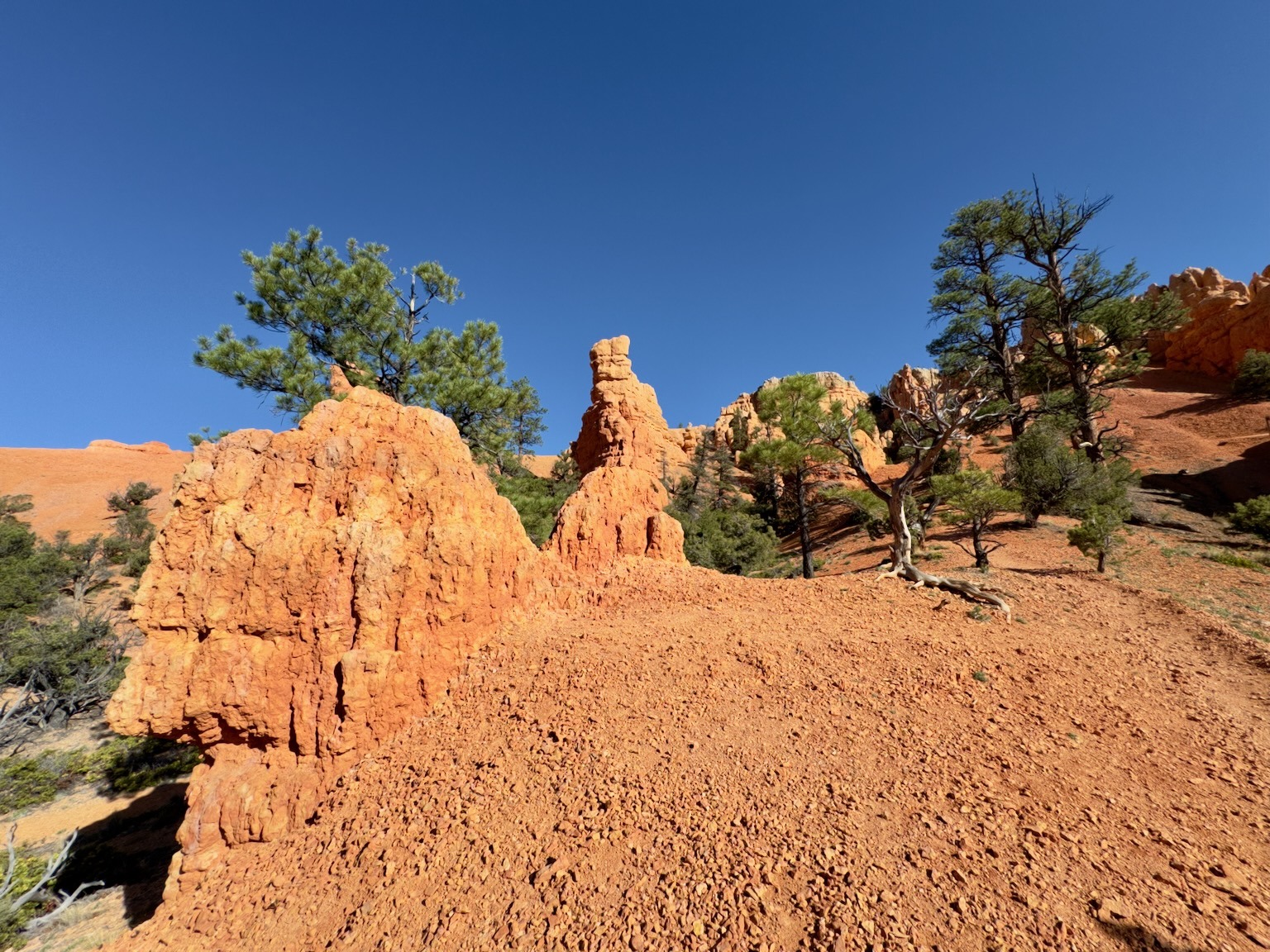 Red Canyon Utah