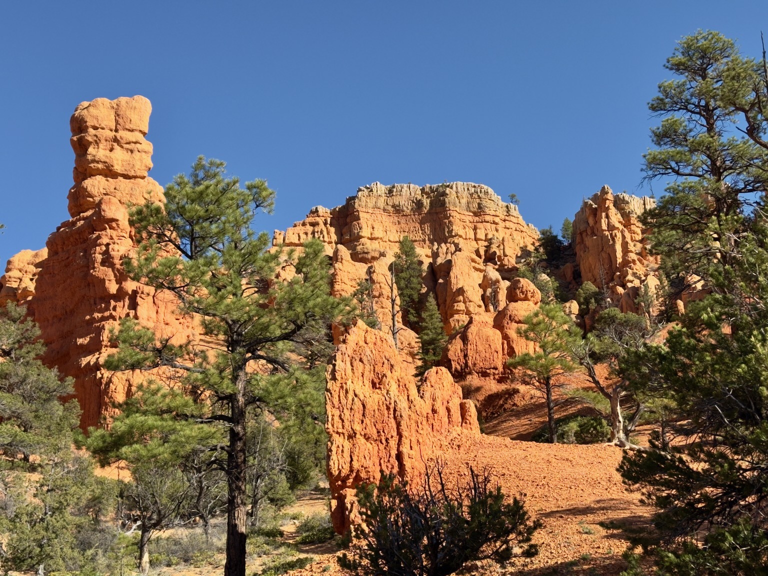 Red Canyon Utah