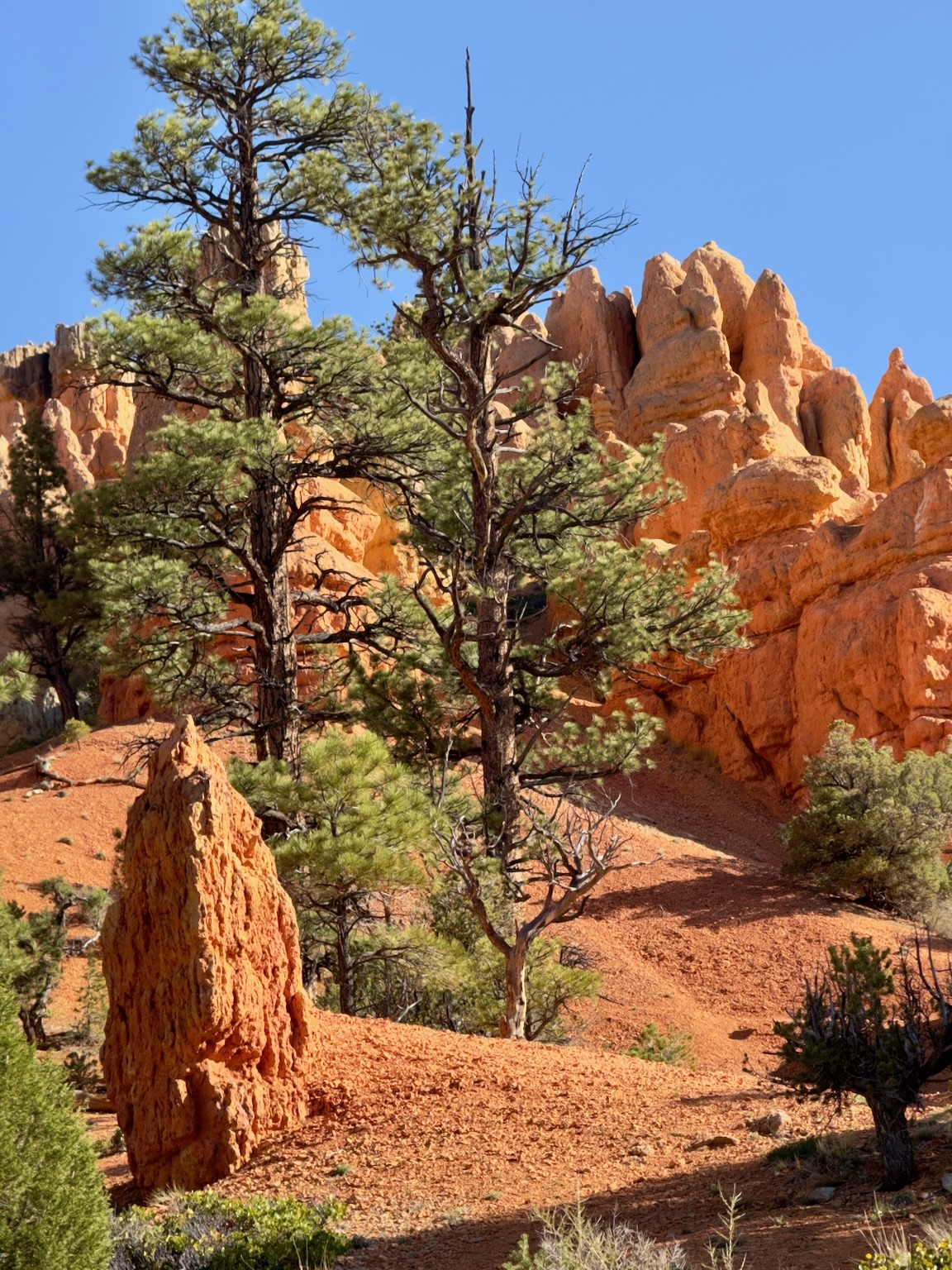 Red Canyon Utah