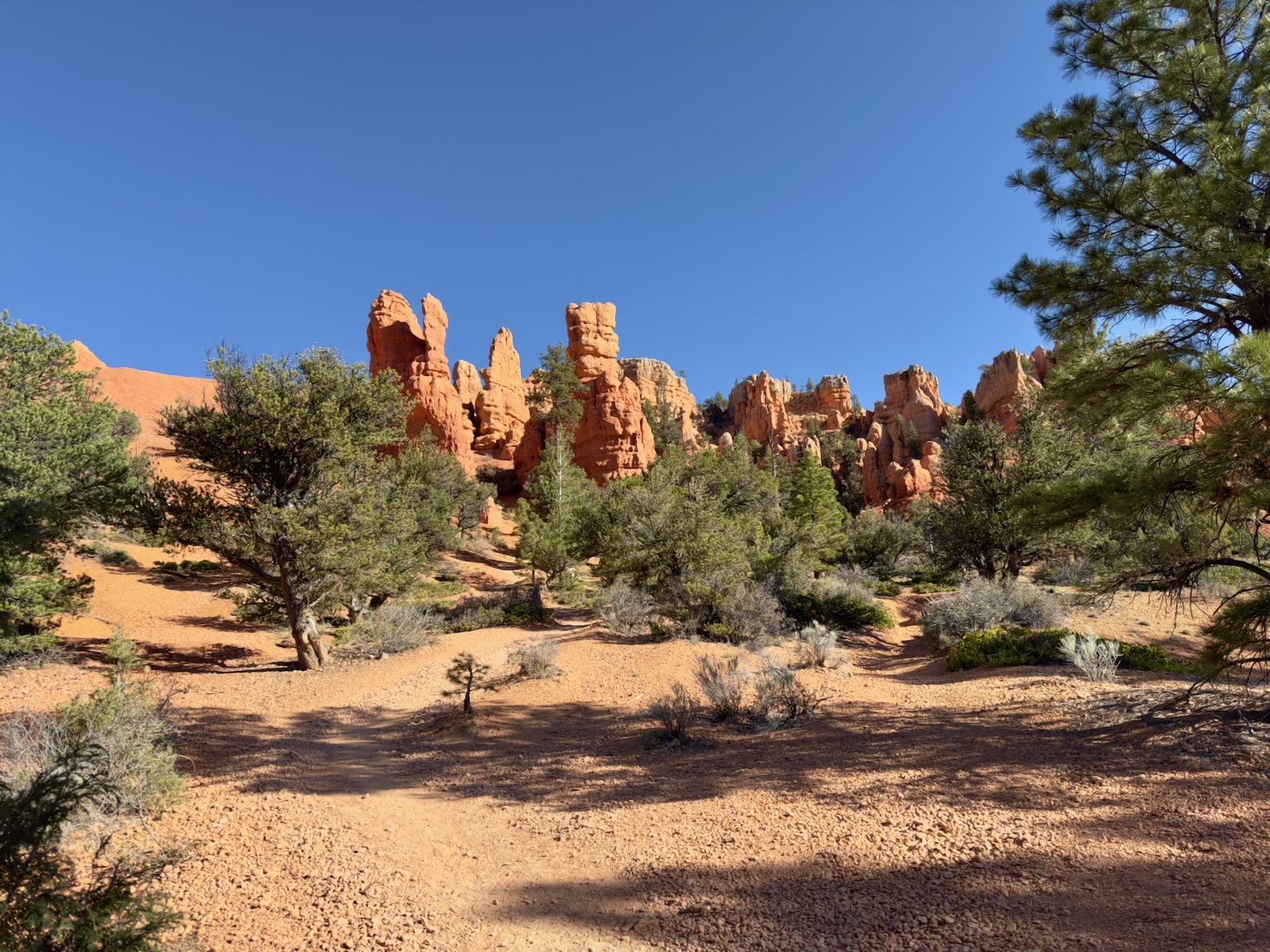 Red Canyon Utah