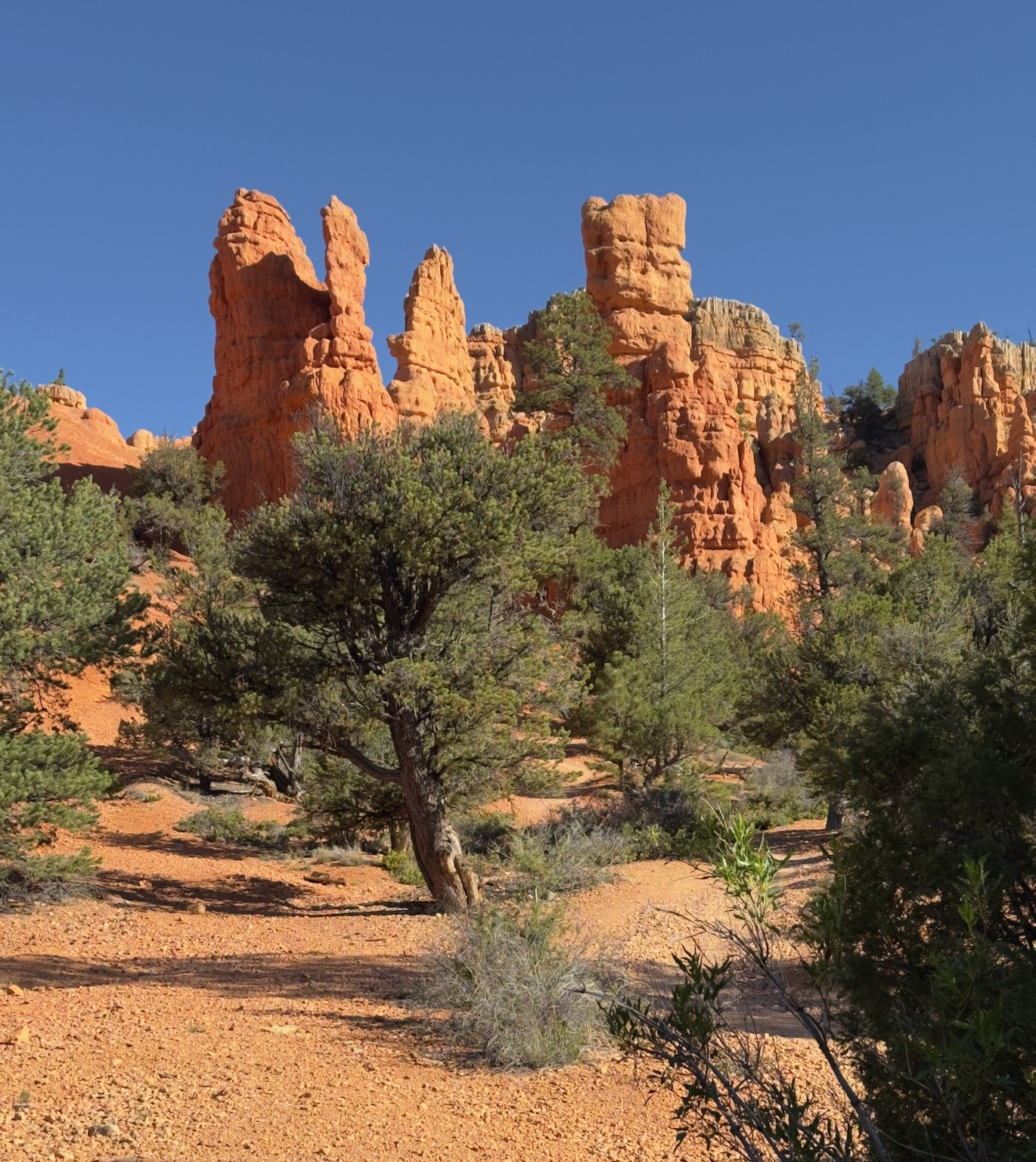 Red Canyon Utah