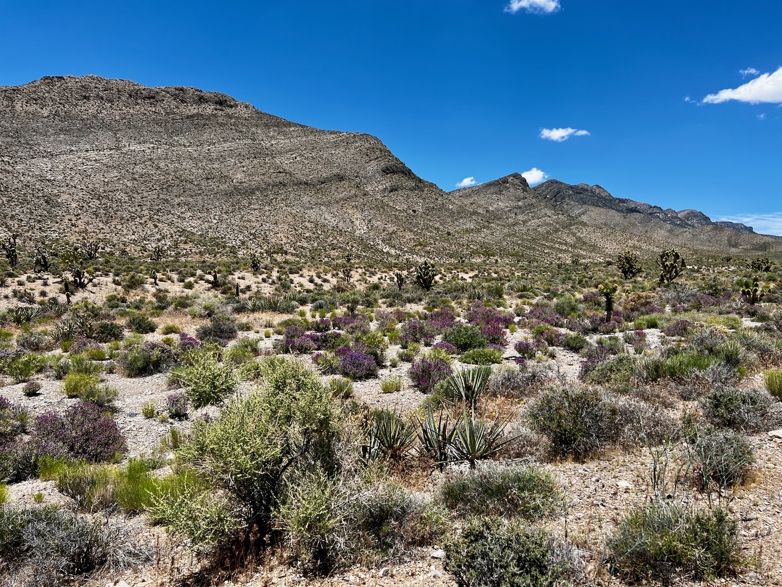 Patosi Mine Overland near Las Vegas