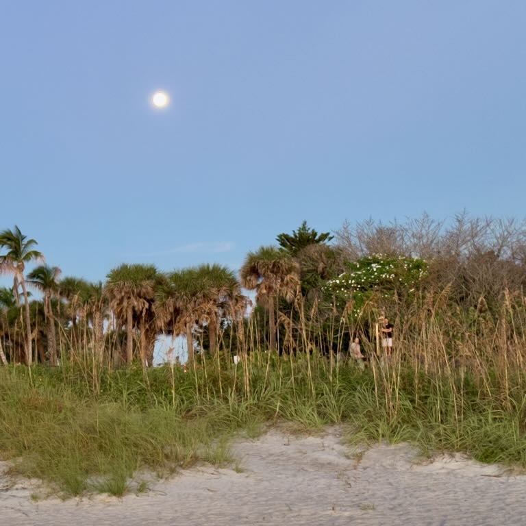 Picture of the moon setting over the beach